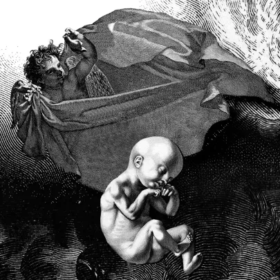 Poetic collage – passage of shadows – VLTR